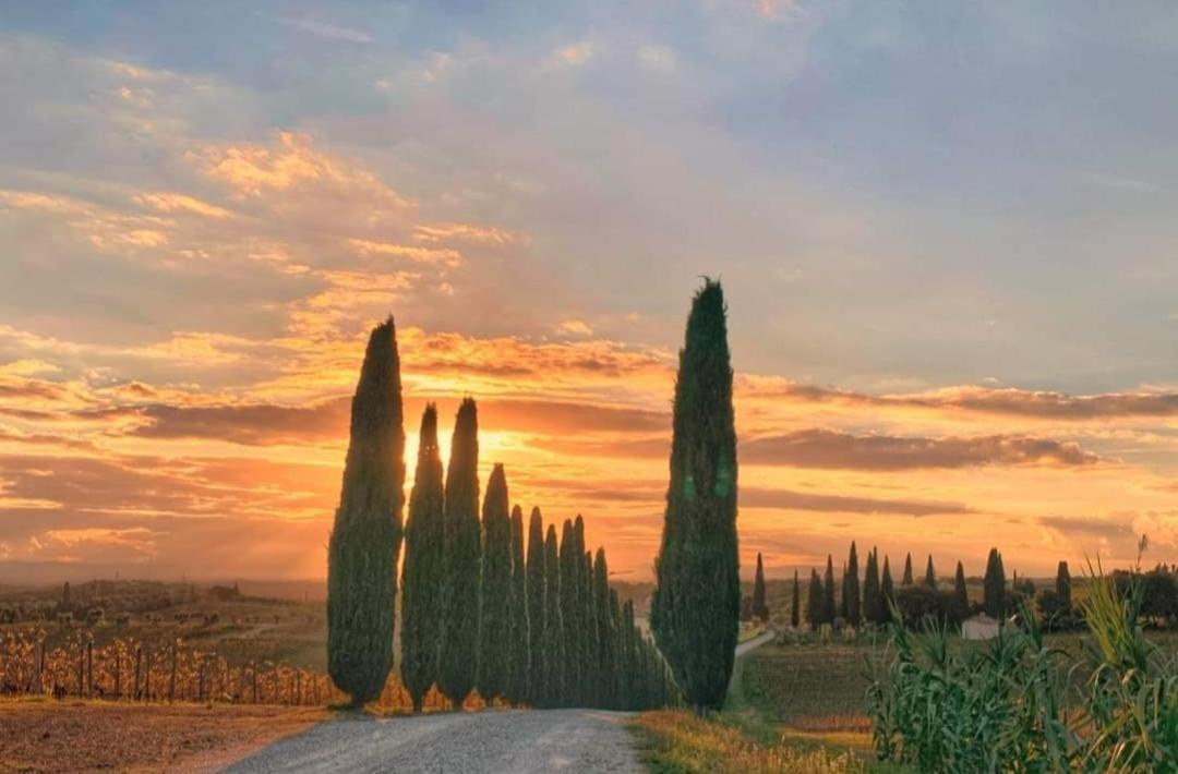 Apartamento Casa Guardiavigna In Chianti San Gusme Exterior foto